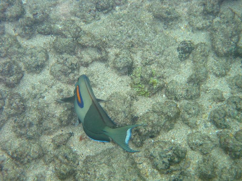 Picture 015
